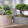 Hand‑Cast Stone Vessels – Unique Minimalist Décor for Any Space