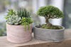 Cylinder Stone Planter