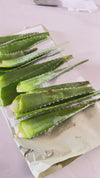 Fresh Aloe Gel Bar